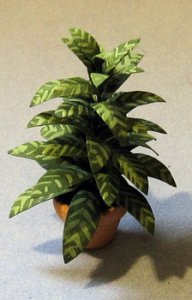 Aglaonema in a Terra Cotta Pot Half-inch scale