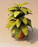 Aglaonema in a Terra Cotta Pot One-inch scale