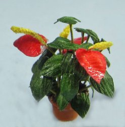 Anthurium Half-inch scale