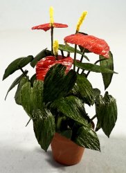 Anthurium One-inch scale