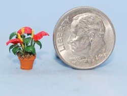 Anthurium Quarter-inch scale