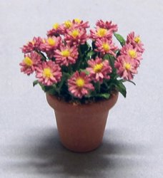 Aster in a Terra Cotta Pot Half-inch scale