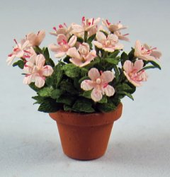Azalea in a Terra Cotta Pot Half-inch scale