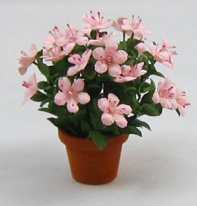 Azalea in a Terra Cotta Pot One-inch scale