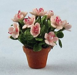 Azalea in a Pot Quarter-inch scale
