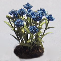 Bachelor Button Half-inch scale