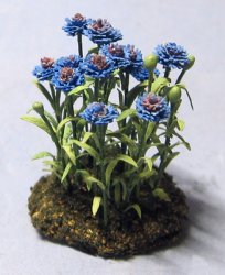 Bachelor Button One-inch scale