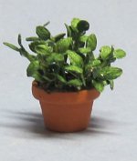 Herb-Basil Plant in a Terra Cotta Pot Half-inch scale