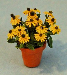 Black-eyed Susan in a Terra Cotta Pot Half-inch scale