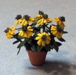 Black-eyed Susan in a Pot Quarter-inch scale