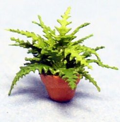Boston Fern in a Pot 1/120th scale