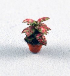 Caladium in a Pot 1/120th scale