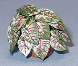Caladium in a Terra Cotta Pot Half-inch scale