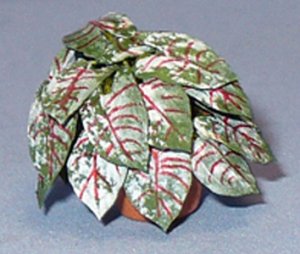 Caladium in a Terra Cotta Pot Half-inch scale
