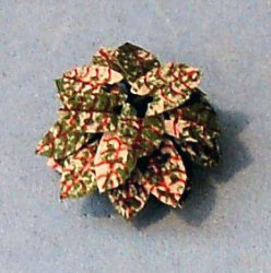 Caladium in a Pot Quarter-inch scale