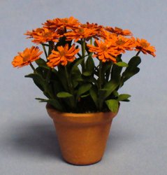 Calendula in a Terra Cotta Pot One-inch scale