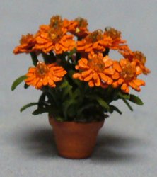 Calendula in a Pot Quarter-inch scale