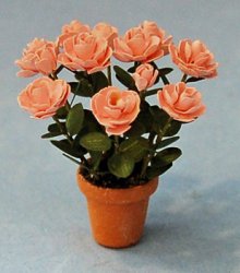 Camellia in a Terra Cotta Pot Half-inch scale