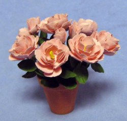 Camellia in a Terra Cotta Pot One-inch scale
