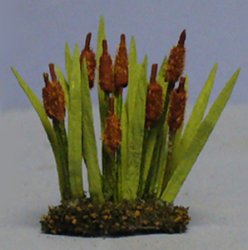 Cattails Quarter-inch scale