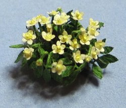 Christmas Rose Quarter-inch scale Christmas Rose Quarter-inch scale