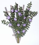 Clematis on a Trellis Half-inch scale