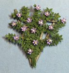 Clematis on a Trellis Quarter-inch scale