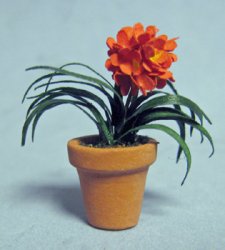 Clivia in a Terra Cotta Pot Half-inch scale Clivia in a Terra Cotta Pot Half-inch scale