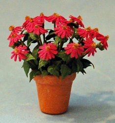 Coneflower in a Terra Cotta Pot Half-inch scale