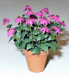 Coneflower in a Terra Cotta Pot One-inch scale