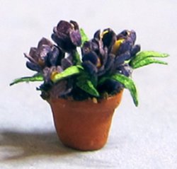 Crocus in a Pot Quarter-inch scale Crocus in a Pot Quarter-inch scale