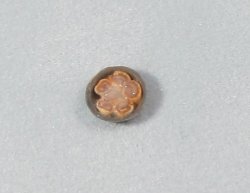 Cinnamon Rolls Quarter-inch scale Cinnamon Rolls Quarter-inch scale