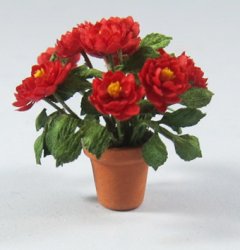 Dahlia in a Terra Cotta Pot Half-inch scale