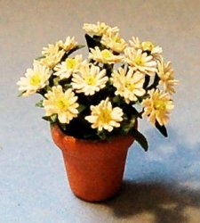 Daisy in a Terra Cotta Pot Half-inch scale