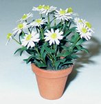 Daisy in a Terra Cotta Pot One-inch scale