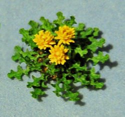 Dandelion Half-inch scale