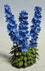 Delphinium Half-inch scale