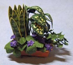 Dish Garden #1 in a Terra Cotta Bonsai Pot One-inch scale