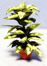 Diffenbachia in a Pot 1/120th scale