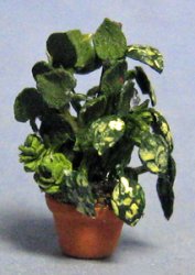 Dish Garden #2 in a Pot Quarter-inch scale