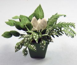 Dish Garden #3 in a Pot One-inch scale