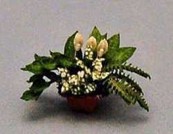 Dish Garden #3 in a Pot Quarter-inch scale