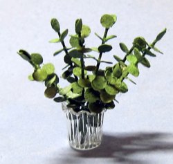 Eucalyptus Branches in a Vase Half-inch scale