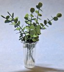 Eucalyptus Branches in a Vase One-inch scale