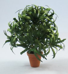 False Aralia in a Terra Cotta Pot One-inch scale