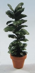 Fiddle Leaf Fig in a Terra Cotta Pot Half-inch scale