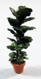 Fiddle Leaf Fig in a Terra Cotta Pot Quarter-inch scale