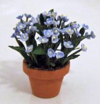 Forget-Me-Not in a Terra Cotta Pot One-inch scale