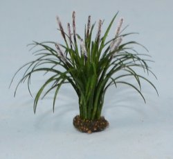 Fountain Grass Quarter-inch scale
