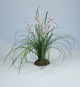 Fountain Grass One-inch scale